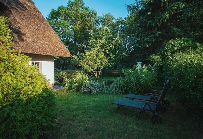 酒店 Reetdach Ferienhaus Nahe Ostseebad Kühlungsborn