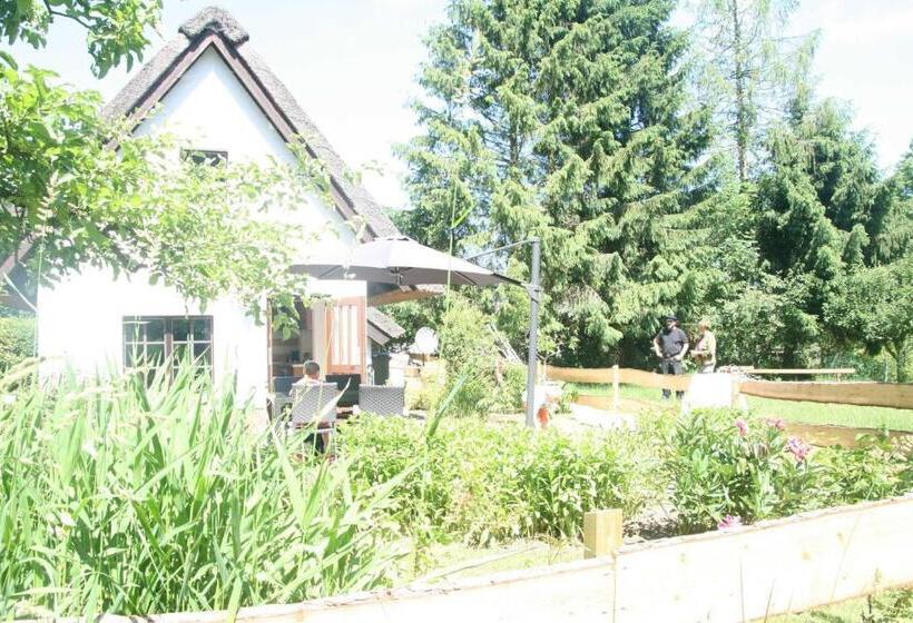 酒店 Reetdach Ferienhaus Nahe Ostseebad Kühlungsborn