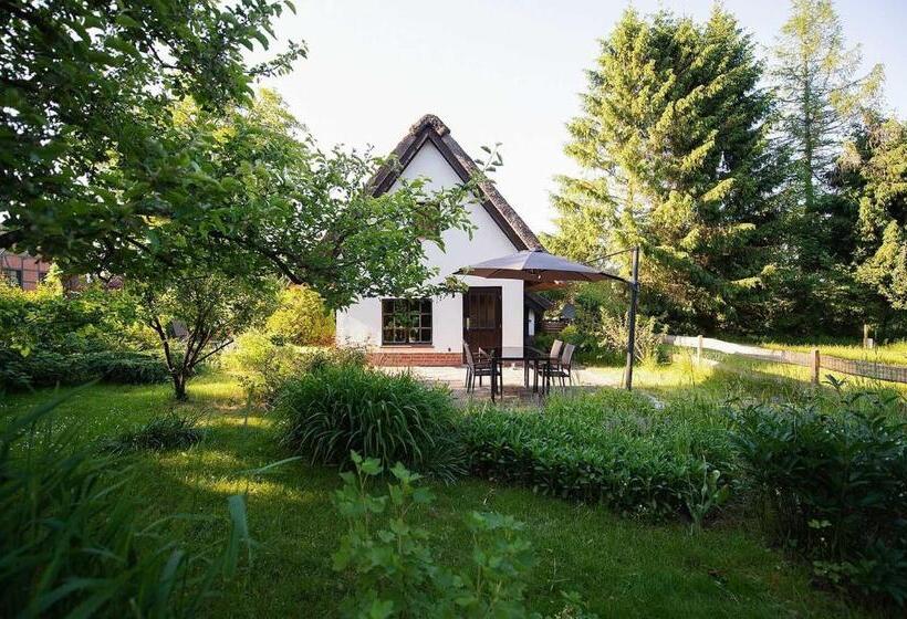 酒店 Reetdach Ferienhaus Nahe Ostseebad Kühlungsborn