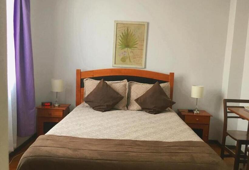 בית מלון כפרי Universitario