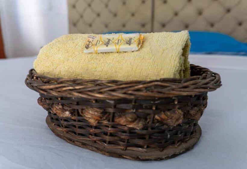 בית מלון כפרי Villa Sara San Miguel