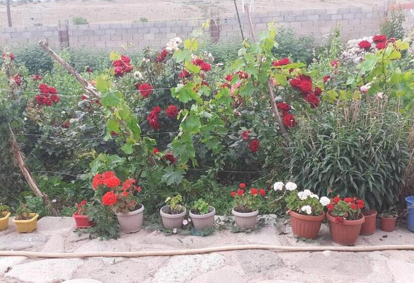 پانسیون алтынай