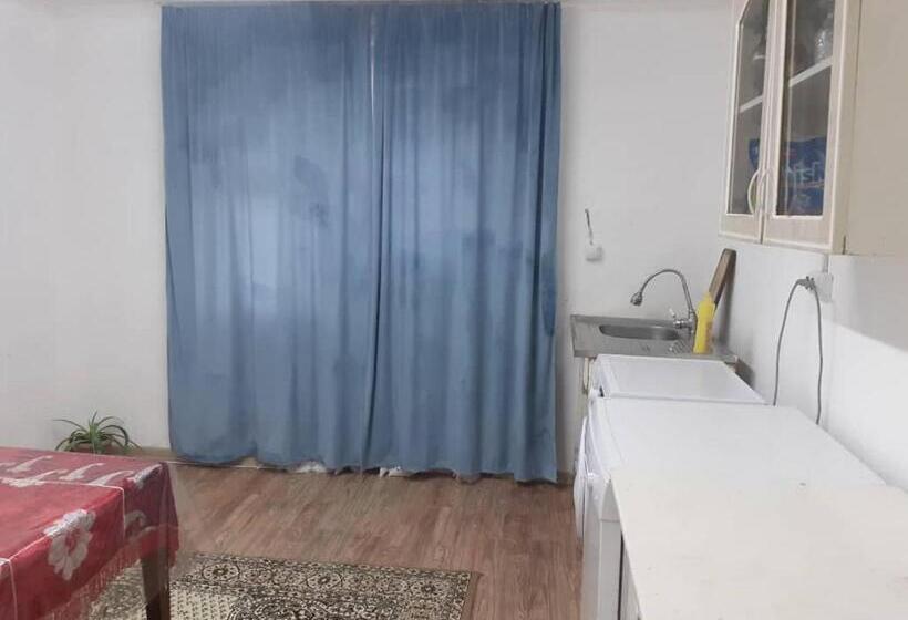 پانسیون алтынай