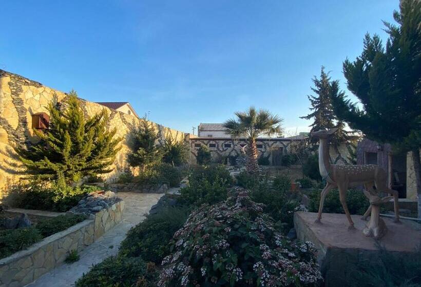 פנסיון Baku Eagle House