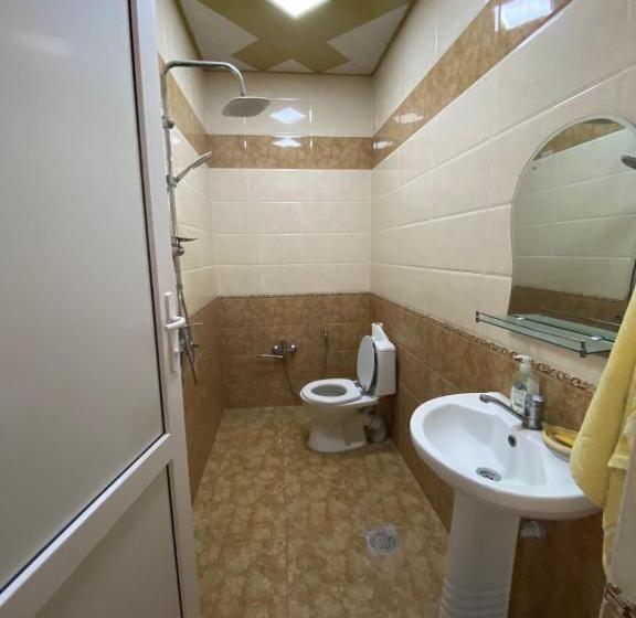 פנסיון Baku Eagle House