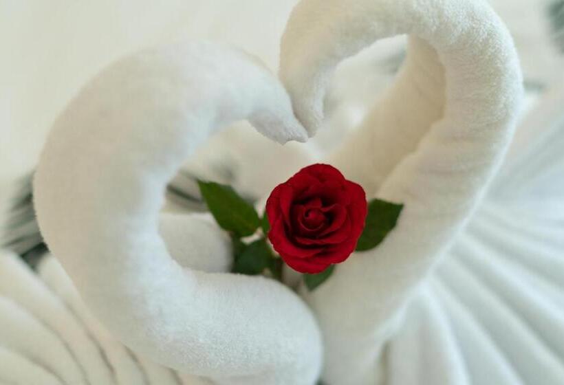 Пансион Baran Swaha Villa