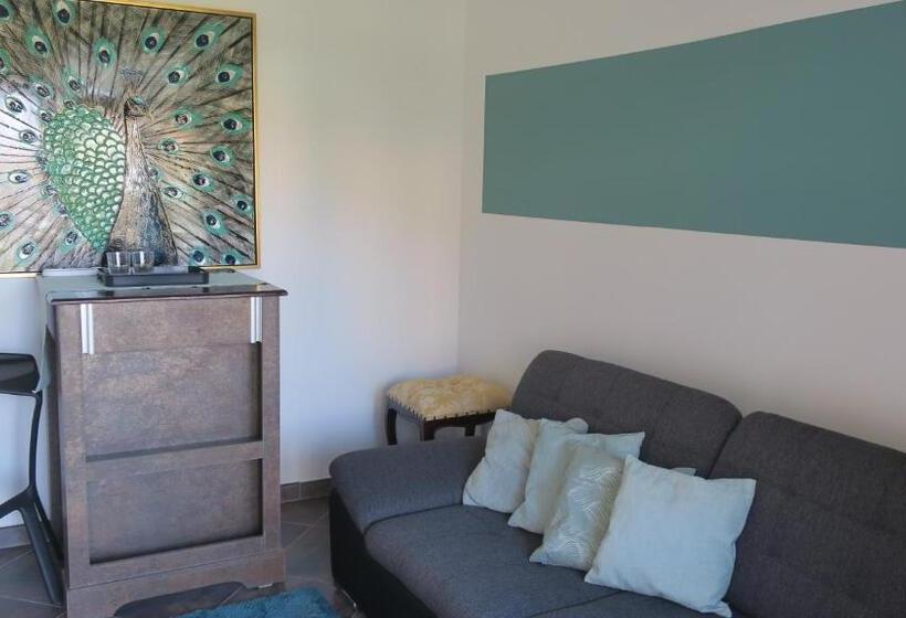 بنسيون Casa Lidia Brasov