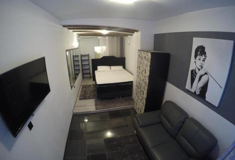 بنسيون Casa Lidia Brasov