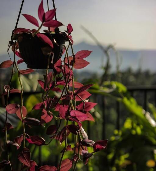 Пансион Cielo Residence