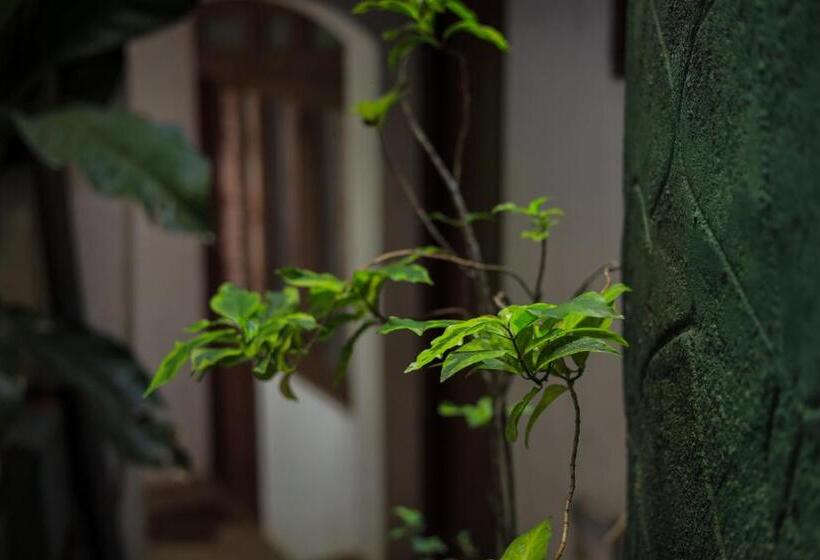 Пансион Cielo Residence