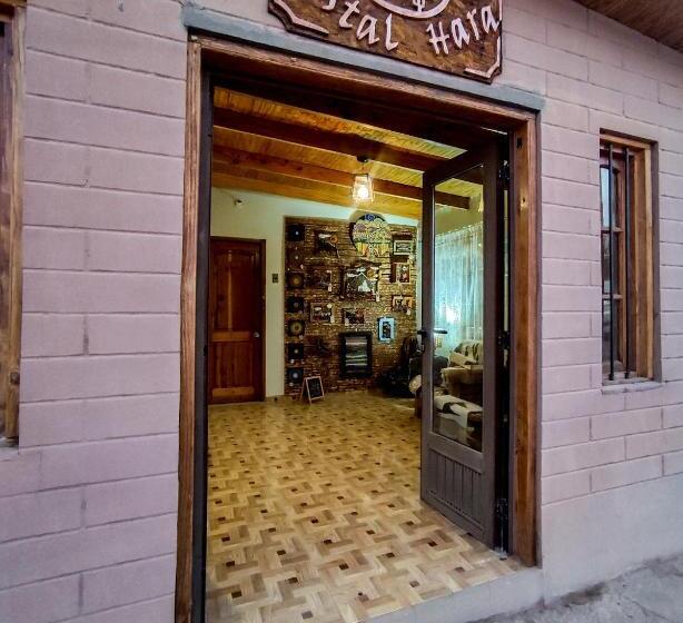 פנסיון Hostal Hara