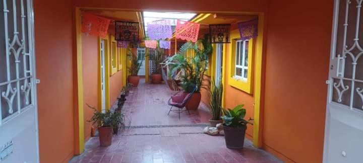 פנסיון Hostal Zipolite Melchor Ocampo