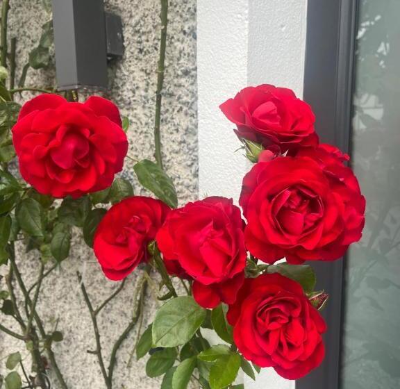 ペンション Lavally House