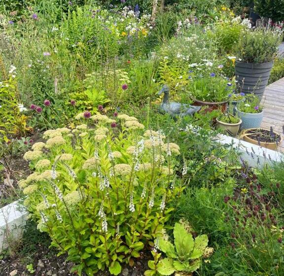 ペンション Lavally House