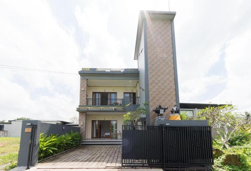 פנסיון Mangbo House