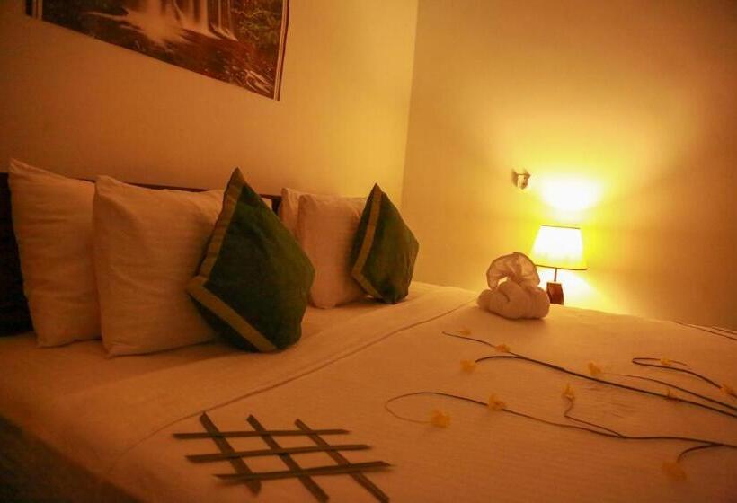 بنسيون New Heavens Gate