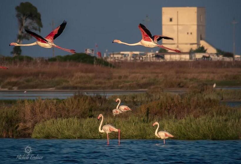 Пансион Sale&mare