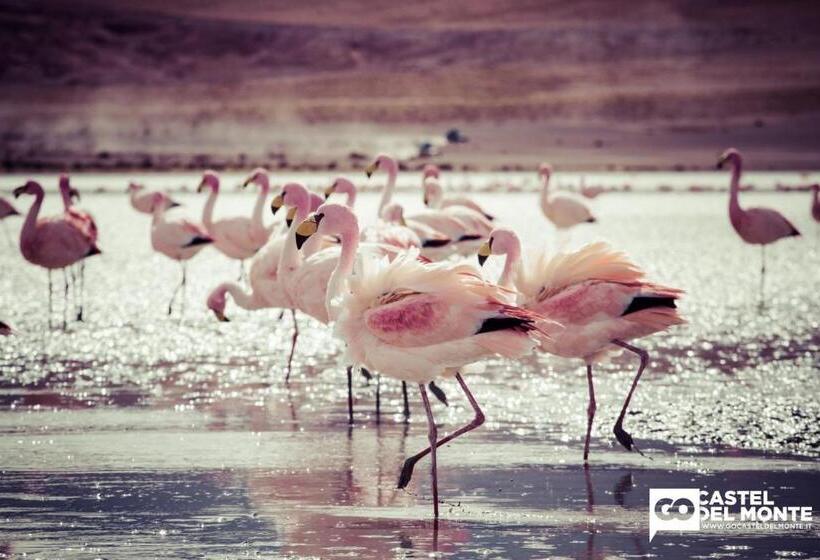 Пансион Sale&mare