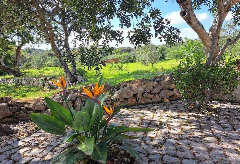 פנסיון Deluxe Room Santa Barbara De Nexe