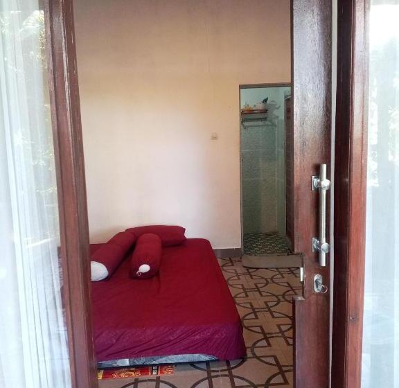 بنسيون Zian Guest House