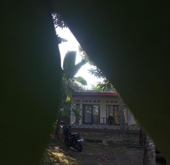 بنسيون Zian Guest House