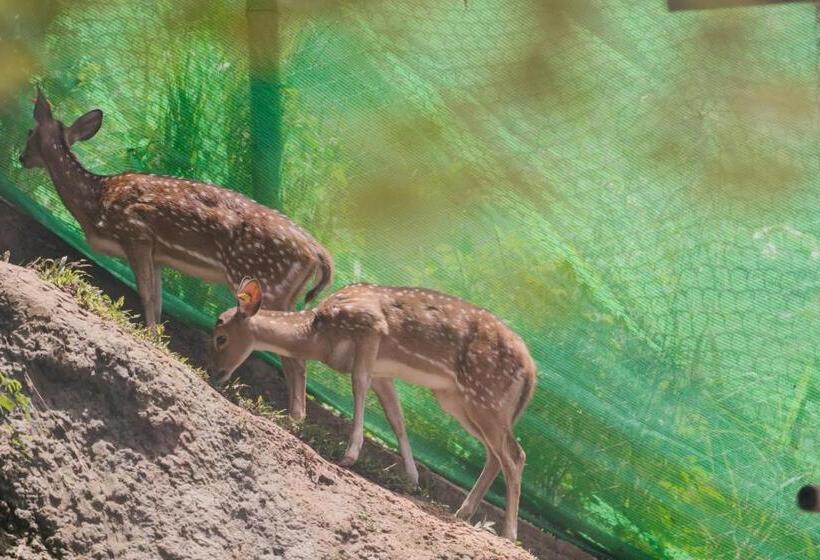 אתר נופש Wawee Retreat Doi Chang