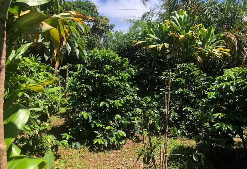 호스텔 ティダ民宿結の家