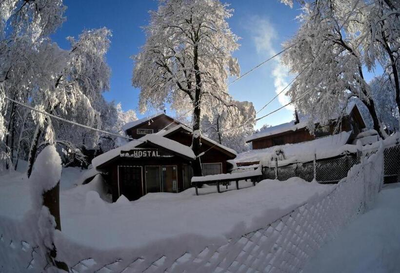 旅馆 Hostal De Montaña Los ñirres