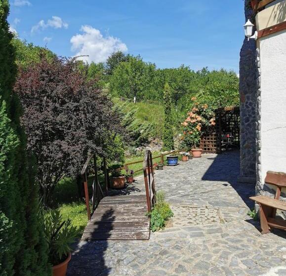 הוסטל Pensiunea Mirela