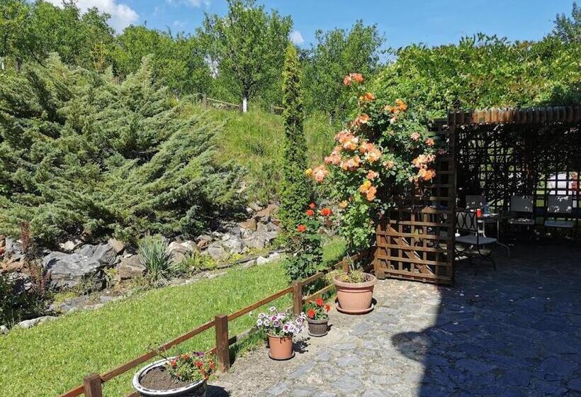 הוסטל Pensiunea Mirela