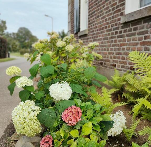B&b In De Roos