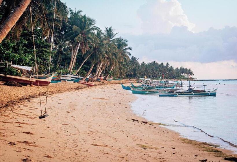 هاستل Shakabrah S Beachfront Dorm