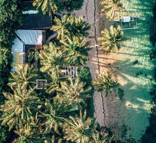 هاستل Shakabrah S Beachfront Dorm