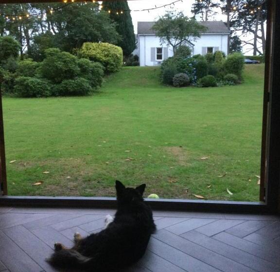 Bed and Breakfast Drumee Lodge Boutique B And B, Newcastle, County Down