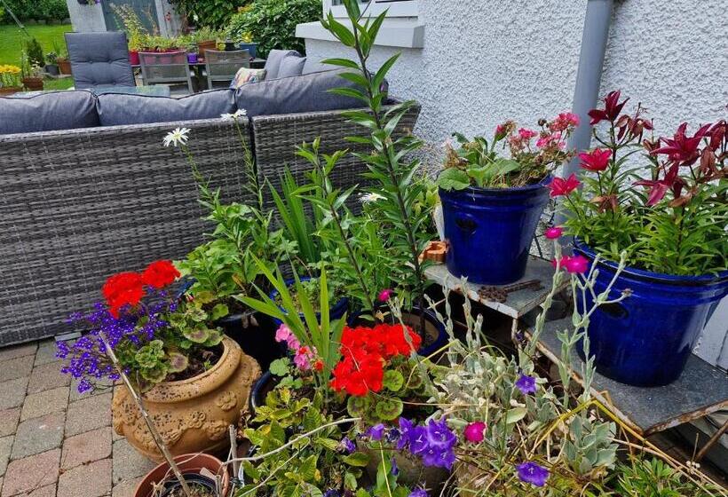 Bed and Breakfast Drumee Lodge Boutique B And B, Newcastle, County Down