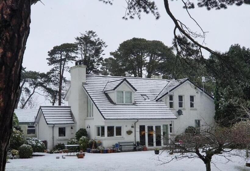 Bed and Breakfast Drumee Lodge Boutique B And B, Newcastle, County Down