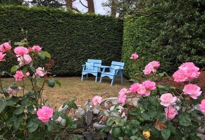 Bed and Breakfast Drumee Lodge Boutique B And B, Newcastle, County Down