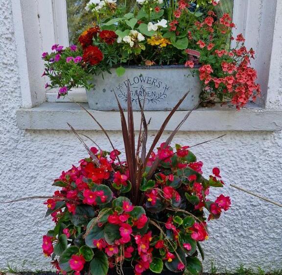 Bed and Breakfast Drumee Lodge Boutique B And B, Newcastle, County Down