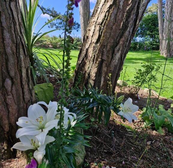 Bed and Breakfast Drumee Lodge Boutique B And B, Newcastle, County Down