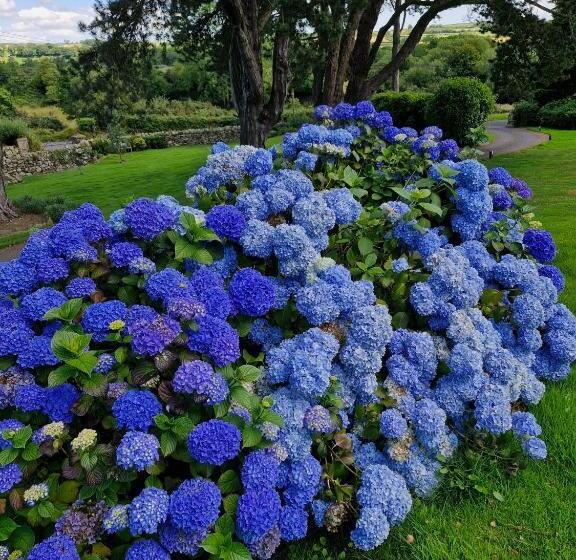 Bed and Breakfast Drumee Lodge Boutique B And B, Newcastle, County Down