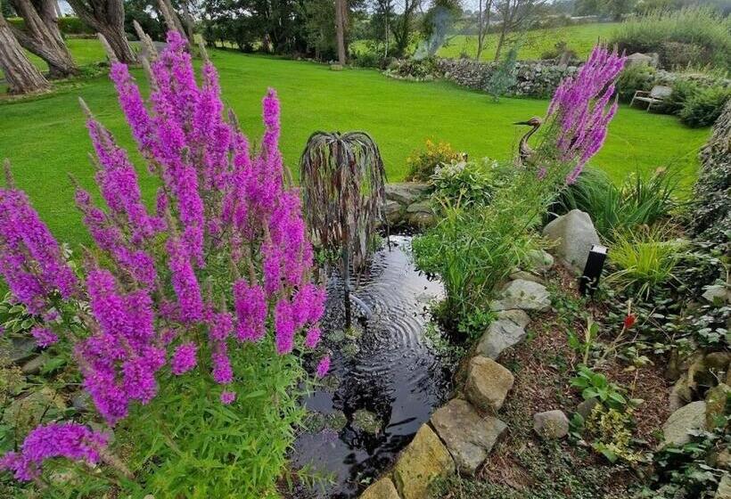 Bed and Breakfast Drumee Lodge Boutique B And B, Newcastle, County Down