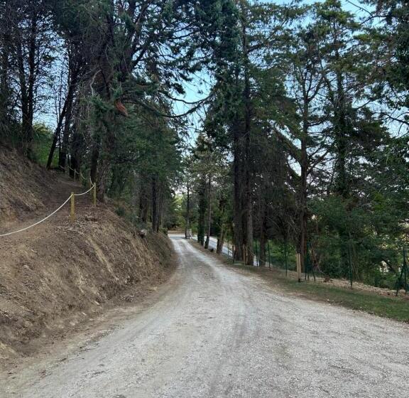 تختخواب و صبحانه Villachiara Gradara