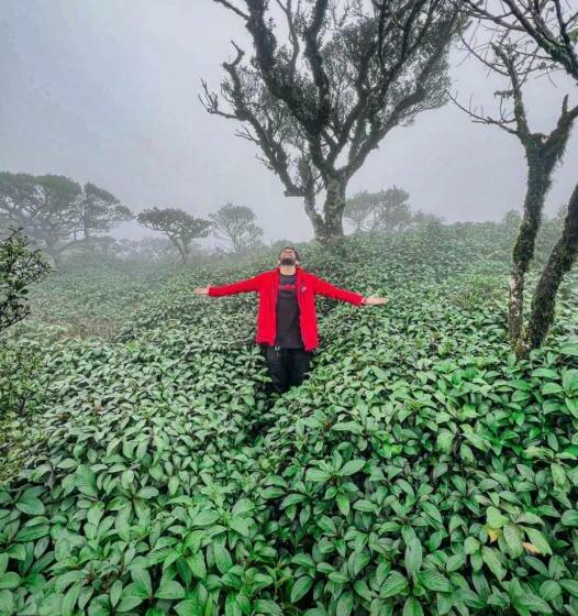 Ceylon Plant Hotel & Restaurant