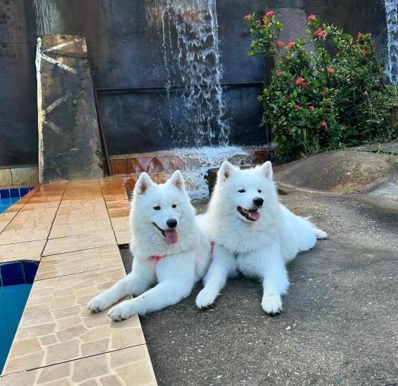 فندق Eco Flat 321 Condomínio Pedra Do Rodeadouro