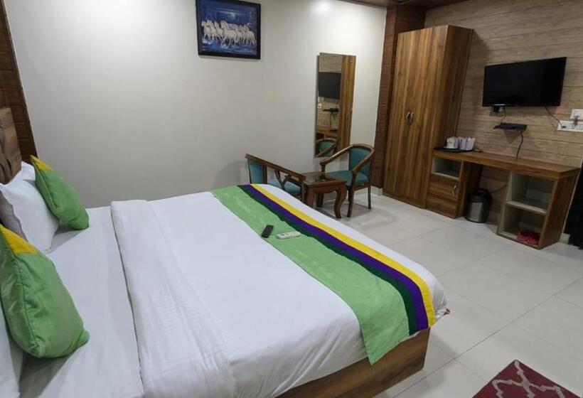 酒店 Gloab Residency Near Delhi Airport