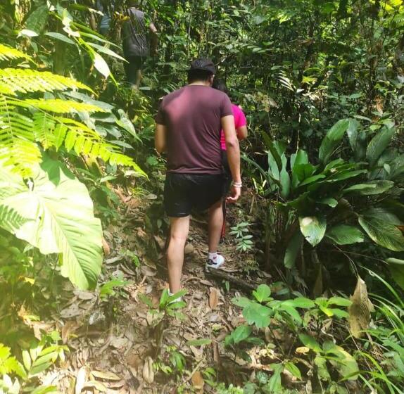 Отель Ingaru Lodge