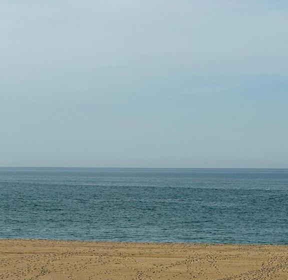 בית מלון כפרי İstanbul Airport Black Sea