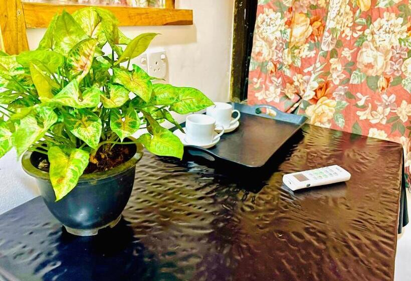 酒店 The Grandiose Safari