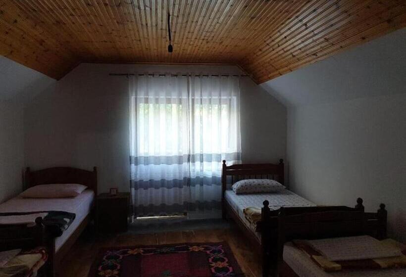 펜션 Bujtina Turkaj