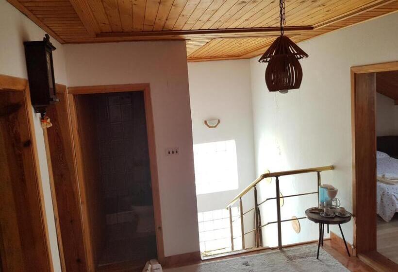 פנסיון Guesthouse   Roof